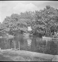 20332-Thumbnail Image.jpg