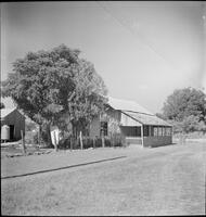20415-Thumbnail Image.jpg