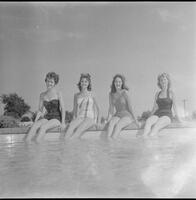23069-Thumbnail Image.jpg