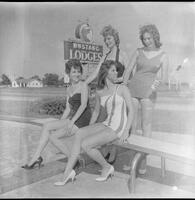 23071-Thumbnail Image.jpg