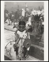 25096-Thumbnail Image.jpg