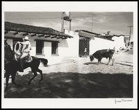 25133-Thumbnail Image.jpg