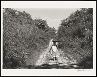 25141-Thumbnail Image.jpg