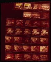 25259-Thumbnail Image.jpg