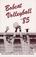 28282-Thumbnail Image.png