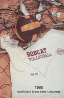 28285-Thumbnail Image.png